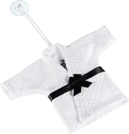 Mizuno Mini Judogi con Ventosa – Gadget Judo | Classic e Japan Edition