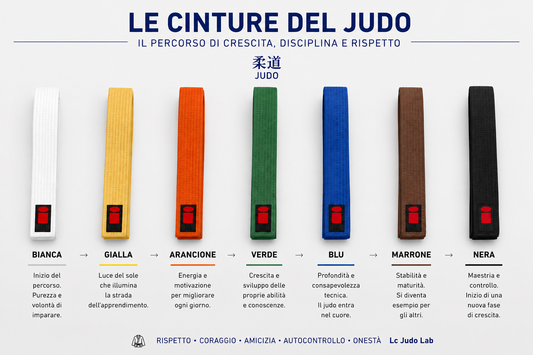 Essimo Cintura Judo Adulti – 7 Colori | Lunghezze 220–320 cm | Tutti i Gradi