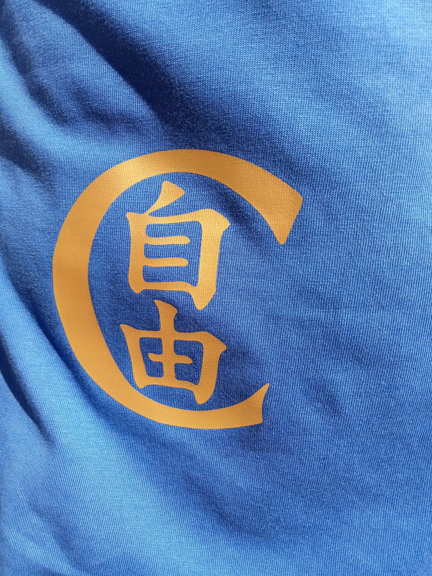 T-Shirt Streetwear "MANICA!!" – Vinile 3D | Frasi da Palazzetto
